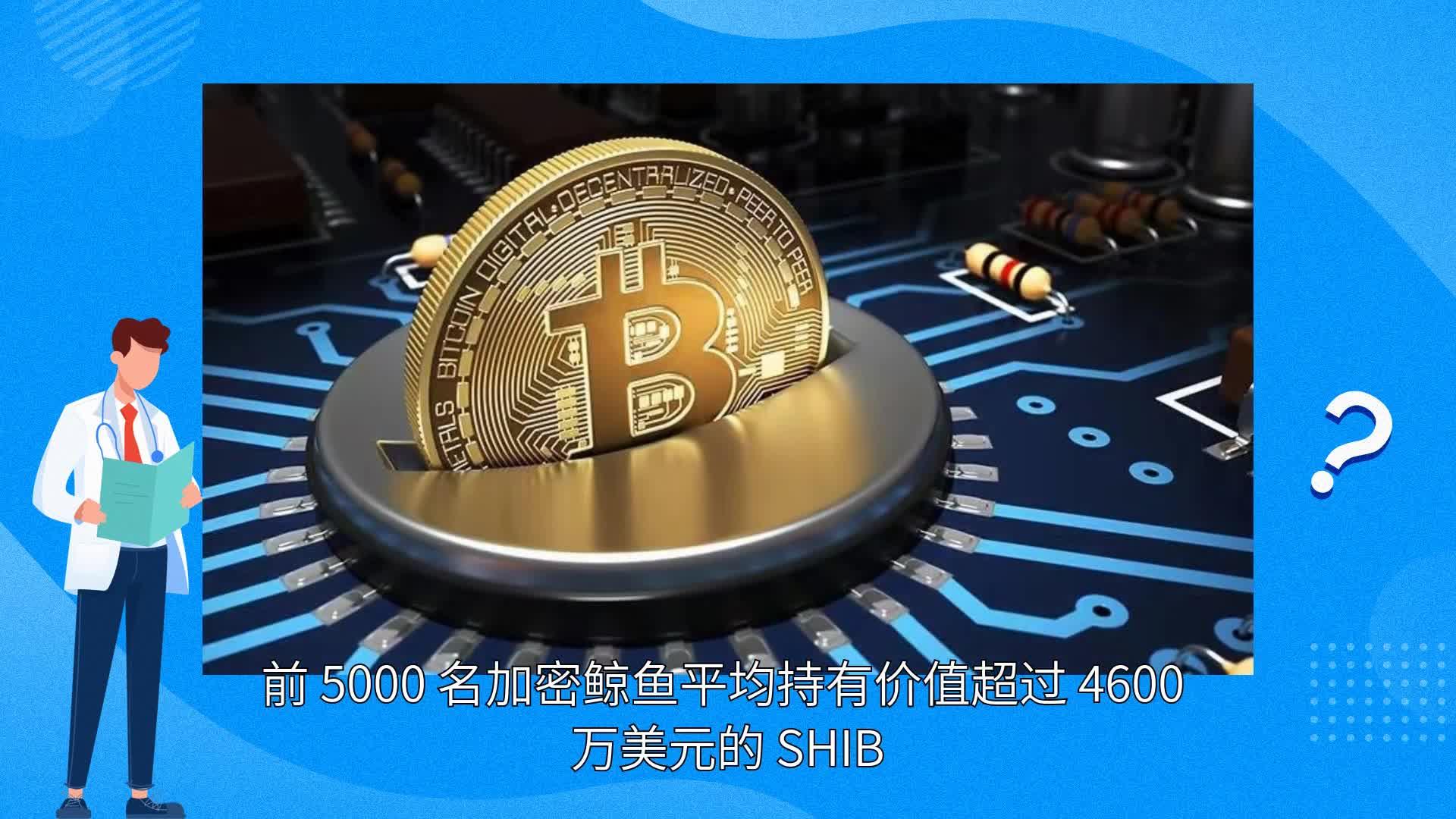 包含SHIB上扬势惊人，一夜飙升196%，加密市场沸腾的词条