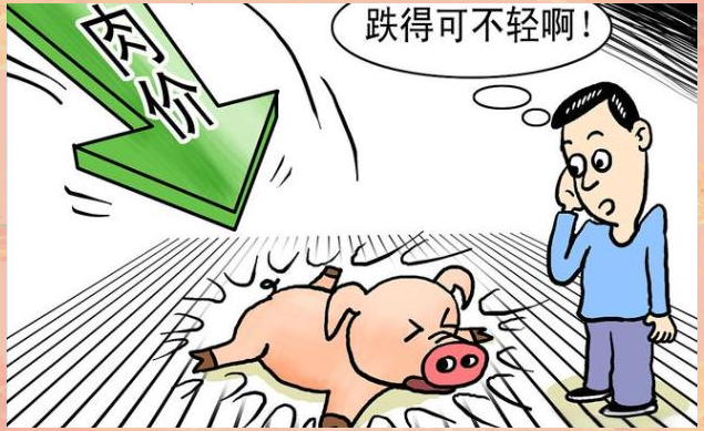 九游体育官网-XRP遭遇大幅下滑超89%，投资者恐慌性抛售
