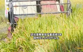 OP再创新高，飙升幅高达422%，还还值得跟进吗？，市场关注的简单介绍