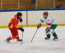 九游体育下载-庐州金雕队对阵雪域雷霆队，冰球锦标赛读秒绝平，门将神扑救主——保级形势悄然变化的简单介绍