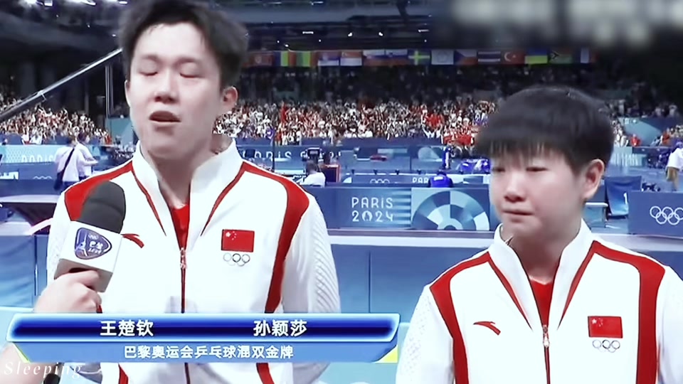 九游体育官网-乒乓球赛场再起风云：天山青龙队惊险晋级天山火狐队，赛场气氛火爆韧性与执行并存的简单介绍